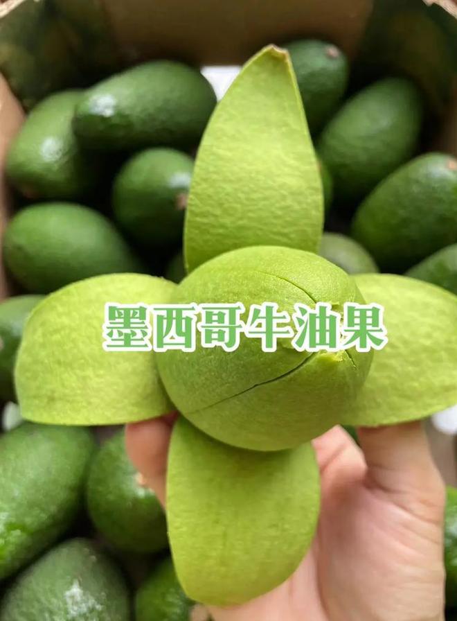 案要对中国加征关税中方已有应对方法开元棋牌app281票赞成通过法(图12)